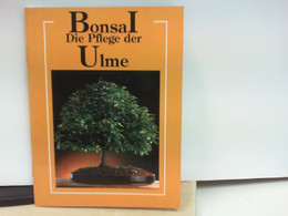 Bonsai - Die Pflege Der Ulme - Naturaleza