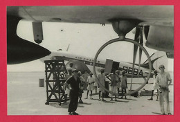 BELLE PHOTO REPRODUCTION AVION PLANE - AIR FRANCE DOUGLAS DC3 BBBA (1952) - Aviación