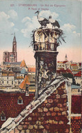 CPA - 67 - Strasbourg - Un Nid De Cigognes - A Nest Of Storks - Colorisée - Straatsburg