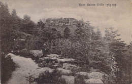 CPA - 67 - Mont SAINTE ODILE 763m - Homme Pose Avec Sa Cane - Félix Luib Strasbourg - Sainte Odile