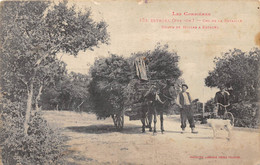 66-ESTAGEL- COL DE LA BATAILLE ROUTE DE MILLAS A ESTAGEL - Autres & Non Classés