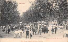 32-FLEURANCE- LE CHAMP DE FOIRE - Fleurance