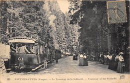 88-SAUT-DES-CUVES- LE TRAMWAYS DE LA SCHLUCHT - Other & Unclassified