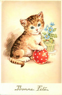 Chat * Cpa Illustrateur * Chaton Jouant Avec Un Ballon * Bonne Fête * Katze Cat - Katten