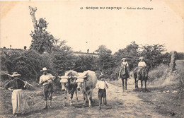 63-SCENE DU CENTRE- RETOUR DES CHAMPS - Auvergne Types D'Auvergne