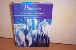 Pflanzen Richtig Anlegen Und Pflegen - Sonstige & Ohne Zuordnung