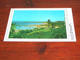 54926-                              CYPRUS, THE BEACH AT AYIA NAPA - Cyprus