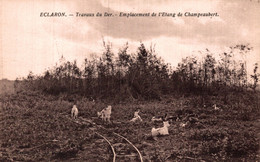 52 - ECLARON / TRAVAUX DE DER - EMPLACEMENT DE L'ETANG DE CHAMPEAUBERT - Eclaron Braucourt Sainte Liviere