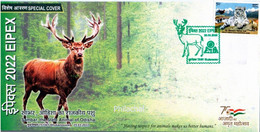 India 2022 Sambar - The State Animal Of Odisha ,Nature Conservation, Herbivore ,Special Cover (**) Inde Indien - Lettres & Documents