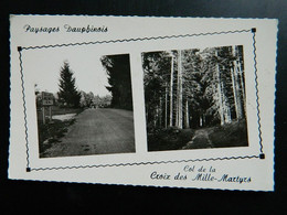 ENVIRONS DE SAINT GEOIRE EN VALDAINE ET DES ECHELLES    LE COL DE LA CROIX DES MILLE MARTYRS - Saint-Geoire-en-Valdaine