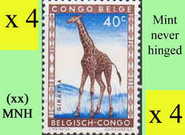 1959 ** BELGIAN CONGO / CONGO BELGE = COB 352 MNH GIRAFFA :  BLOC OF -4- STAMPS WITH ORIGINAL GUM - Blocks & Sheetlets