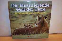 Die  Faszinierende Welt Der Tiere : Ihr Leben Im Wechsel Der Jahreszeiten - Animaux