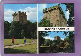 BLARNEY CASTLE Co Cork - Cork