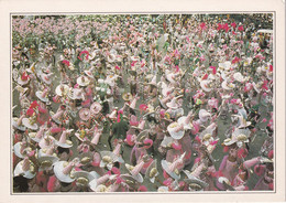 A20011 - RIO DE JANEIRO LE CARNAVAL O CARNAVAL RIO BRASIL BRAZIL PHOTO SUZANNE HELD IMPRIME EN CEE - Carnaval