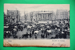 Ciney 1906: La Foire Aux Bestiaux, Très Animée - Ciney