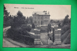 Delcampe - Hever 1920: Villa Van Horenbeek Animée - Boortmeerbeek