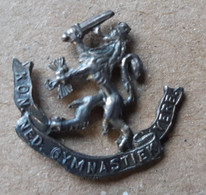 Gymnastic Federation Of Nederland Vintage  Pin Badge - Gymnastique