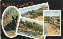 NEWQUAY MULTI VIEW - Newquay