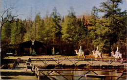 New Hampshire White Mountains Jefferson Santa's Village Shrine Of Our Saviour & Three Wise Men 1963 - White Mountains