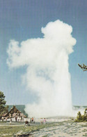 "Old Faithful" Geyser, Yellowstone National Park, Wyoming  Union Pacific Railroad Pictorial Post Card - Yellowstone