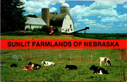 Nebraska Sunlit Farmlands Split View - Sonstige & Ohne Zuordnung