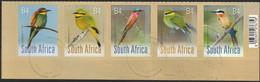 South Africa RSA - 2017 - Birds Bee-eaters Bienenfresser - Nuovi