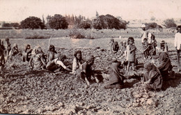 Inde (India) Peasants In The Fields (Paysans Dans Les Champs) Non Circulated Post Card Of Gentle, Bengalore - Asie