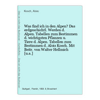 Was Find Ich In Den Alpen? - Lexiques