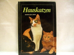 Hauskatzen - Dieren