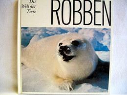 Robben. - Animals