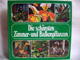 Die  Schönsten Zimmer- Und Balkonpflanzen. - Autres & Non Classés