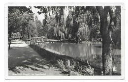 9700  AUERBACH /VOGTL., IM FREUDENTAL  1950 - Falkenstein (Vogtland)