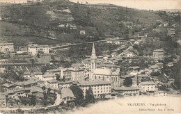 VALFLEURY: VUE GENERALE - Andrézieux-Bouthéon