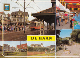 DE HAAN - De Haan