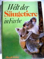 Welt Der Säugetiere In Farbe - Animali