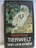 Tierwelt - Von Uns Erlebt - Tierwelt