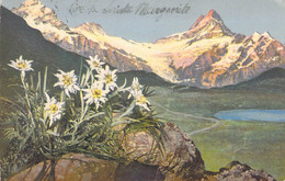 CPA - SUISSE - MONTAGNE Edelweiss - Mon