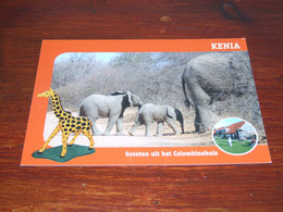 55011-                        KENIA, ELEPHANTS,  / DIEREN / ANIMALS / TIERE / ANIMAUX / ANIMALES - Elefanti