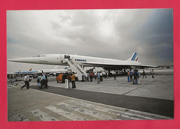 BELLE PHOTO REPRODUCTION AVION PLANE FLUGZEUG - CONCORDE AIR FRANCE SUR LE TARMAC ENTOURÉ DE VISITEURS - Luftfahrt