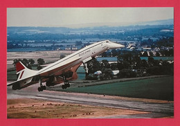 BELLE PHOTO REPRODUCTION AVION PLANE FLUGZEUG - CONCORDE BRITISH AIRWAYS A L'ATTERRISSAGE LE NEZ BAISSÉ - Aviación