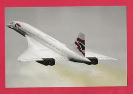 BELLE PHOTO REPRODUCTION AVION PLANE FLUGZEUG - CONCORDE BRITISH AIRWAYS EN VOL - Aviation