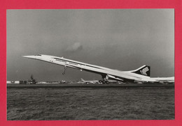 BELLE PHOTO REPRODUCTION AVION PLANE FLUGZEUG - CONCORDE SINGAPORE AIRLINES G-BOAD - Aviación