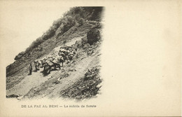 Bolivia, BENI, La Subida De Sorate (1899) Postcard - Bolivie