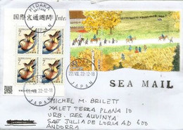 Belle Lettre Du Japon 2022 (sea Mail) Adressée Andorra - Covers & Documents