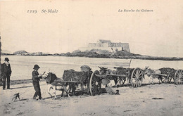 35-SAINT-MALO- LA RECOLTE DU GOËMON - Saint Malo