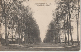 Essonne :  MONTGERON  :  Avenue   Du  Château - Montgeron
