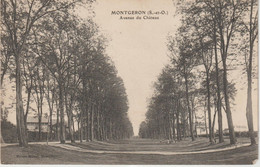 Delcampe - Essonne :  MONTGERON  :  Avenue   Du  Château - Montgeron