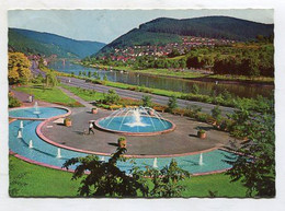 AK 085294 GERMANY - Eberbach Am Neckar - Wassergarten - Eberbach