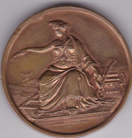 Médaille En Bronze - Comice Agricole De L'Arrondissement De Lille (59) - Créé Le 22 Août 1853 - Signée A. Lecomte - Professionnels / De Société