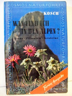 Was Find Ich In Den Alpen? : Das Erdgeschichtl. Werden D. Alpen. Tabellen Zum Bestimmen D. Wichtigsten Pflanze - Animaux